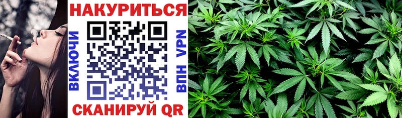 Конопля индика  как найти   Славск 